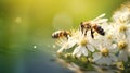 Bees Collecting Pollen in a Minimalistic and Clean Image AI Generated