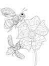 Bees on a flower Coloring book vector for adults