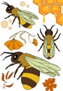 Bees, flowers and honey: vector illustration with bees, flowers and honeycomb