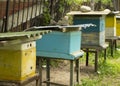 Bees fly to the hive. Beekeeping. A swarm of bees brings honey home. Apiary Royalty Free Stock Photo