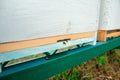 Bees flying near the hive. Close up of entrance of bees into a wooden colored hive. Bees are working