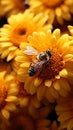 Bees gather sunflower nectar, dusted in yellow pollen, a pollination marvel Royalty Free Stock Photo