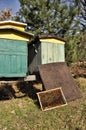 Bees in hives Royalty Free Stock Photo