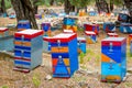 Multi-colored beehives, apiary, honey, many beehives that look like people, coniferous honey on the island of Thassos