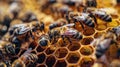 The bees on honeycomb.AI generated image Royalty Free Stock Photo