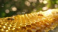 The bees on honeycomb.AI generated image Royalty Free Stock Photo