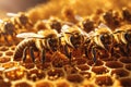 bees on honeycomb closeup full background. ai generative