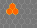 Bees honeycomb focus