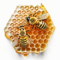 Bees and a honeycomb isolate white background. ai generative illustration
