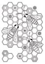 Bees in honeycombs antistress doodle coloring book page for adult. Zentangle insect black and white illustration