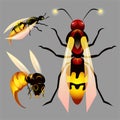 Bees, . illustrstion Royalty Free Stock Photo