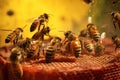 bees performing a waggle dance to communicate