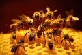 bees performing waggle dance to communicate