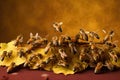 bees performing waggle dance to communicate