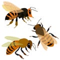 2119 bees? set of bees, colored drawings, isolate on a white background