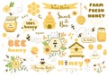 Bees set honey clipart Hand drawn bee honey elements Hive honeycomb pot beekeeping Text phrases illustration