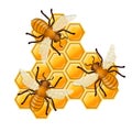 Bees sitting on comb of honey. Vector illustration Royalty Free Stock Photo