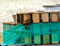 Bees swarm around Bee Boxes Royalty Free Stock Photo