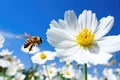 bees swarming around a defenseless flower