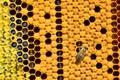 Bees swarming on a honeycomb Royalty Free Stock Photo