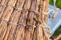 Bees swarming on vintage reed background