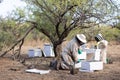 bees in their hivekeeper's suits and hats working on a hivebox