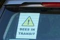 Bees In Transit Sign with black exclamation mark on yellow Warning triangle in car window