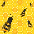 Bees, wasps and honeycombs with honey. Vector