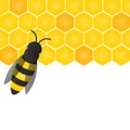 Bees, wasps and honeycombs with honey. Vector