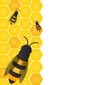 Bees, wasps and honeycombs with honey. Vector