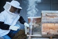 Bees, woman and smoke for honey, agriculture production and eco sustainability process in environment. Beekeeper in suit
