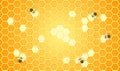 Bees work on beehive and royal jelly