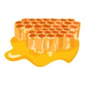 Beeswax with honey comb icon cartoon vector. Organic nutrition