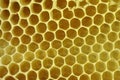 Beeswax honeycomb