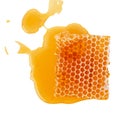 Beeswax honeycomb piece of liquid yellow natural honey isolated on white background Royalty Free Stock Photo