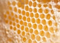 Beeswax