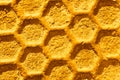 Beeswax pattern, golden honeycomb with a hexagon cell shape, beehive macro