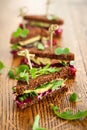 Beet,avocado and arugula sandwich Royalty Free Stock Photo