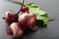 Beet, beetroot bunch on black stone background. Copy space Royalty Free Stock Photo