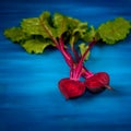 Beet, beetroot bunch on blue wooden background. Copy space.