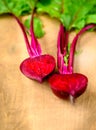Beet, beetroot bunch on wooden background. Copy space. Royalty Free Stock Photo