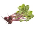 Beet, beetroot bunch on white background