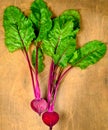 Beet, beetroot bunch on wooden background. Copy space. Royalty Free Stock Photo