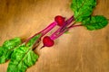 Beet, beetroot bunch on wooden background. Copy space. Royalty Free Stock Photo