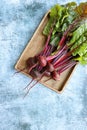 Beet, beetroot bunch in wooden box on blue background. Fresh ripe beetroot with leaf. Top view or flat lay Royalty Free Stock Photo
