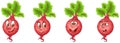 Beet. Beetroot. Food Emoji Emoticon collection