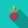 Beet cartoon vector flat design on green background