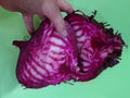 Beet cut pink with white stripes Royalty Free Stock Photo