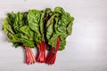 Beet greens leaf of the beetroot plant typicaly food for diet poor in fat