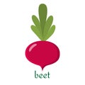 Beet icon in flat style isolated on white background.